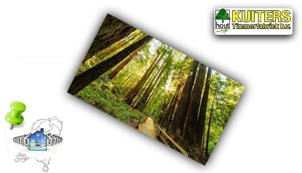 FSC, FSC keurmerk, FSC houtmerk, FCS keur, keurmerken, kwaliteitseisen, garanties, fcs hout, circulair hout, eco hout, duurzaam hout, duurzaam bosbeheer,